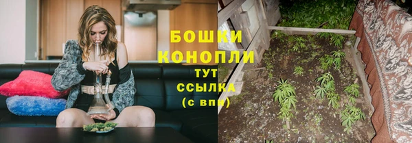 крисы Беломорск