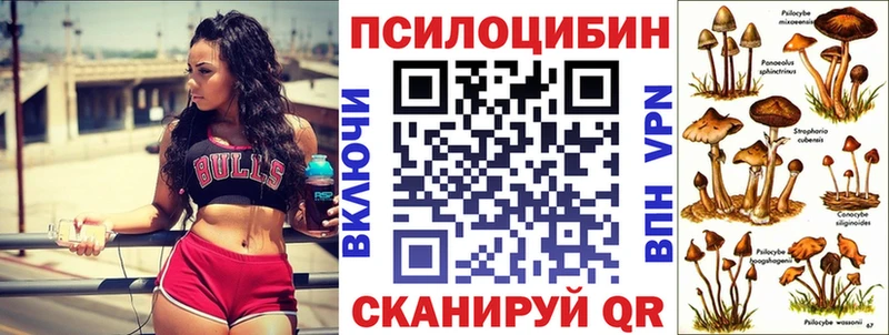 Псилоцибиновые грибы GOLDEN TEACHER  хочу   Красково 